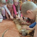 phoca_thumb_m_myslivost 20 Fotogalerie
